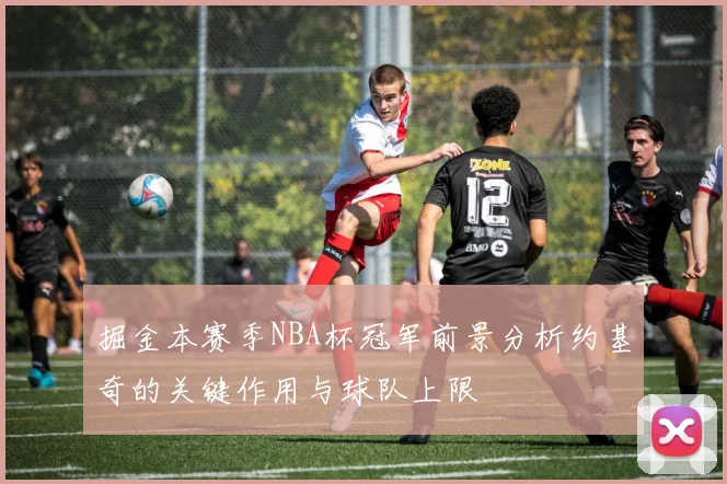 掘金本赛季NBA杯冠军前景分析约基奇的关键作用与球队上限