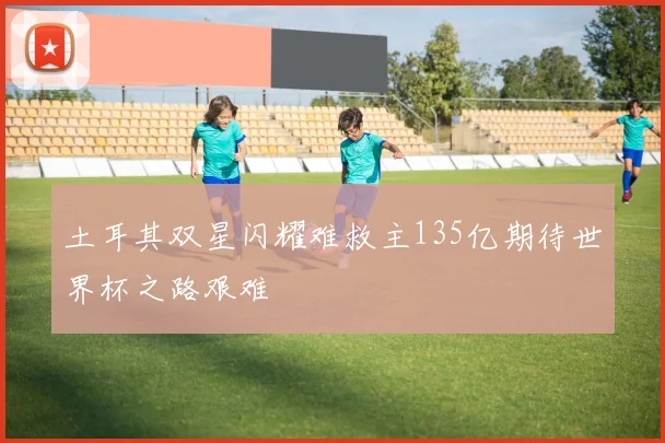 土耳其双星闪耀难救主135亿期待世界杯之路艰难